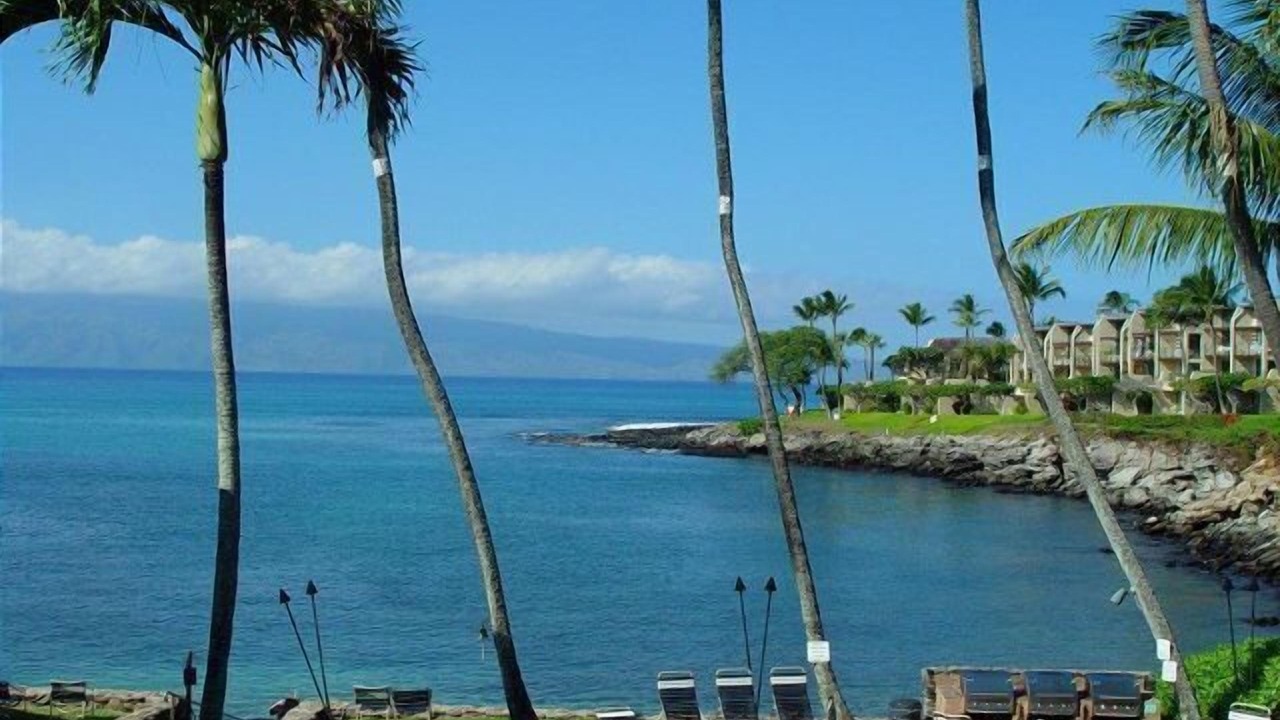 Photo of Others in Napili