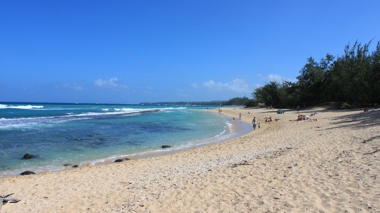 Photo of Others in Paia