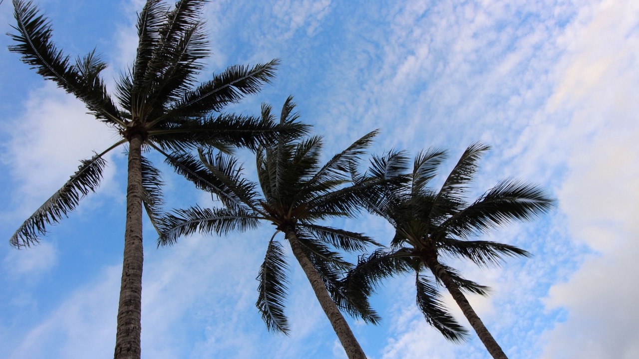 Photo of Others in Kailua