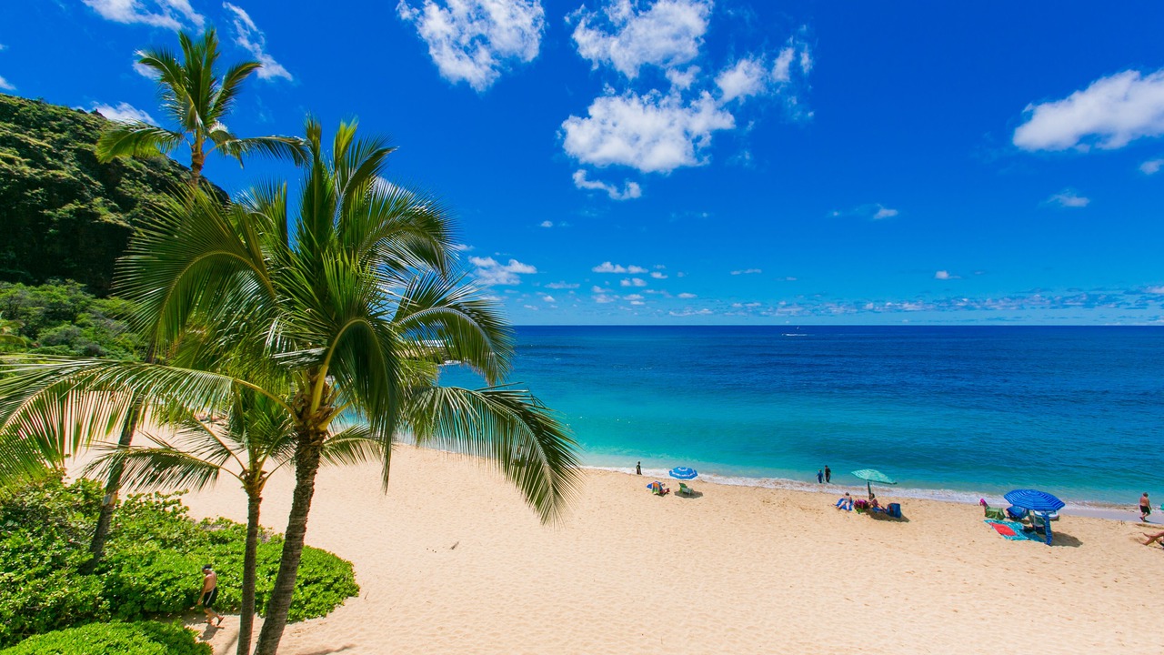 Photo of Others in Makaha