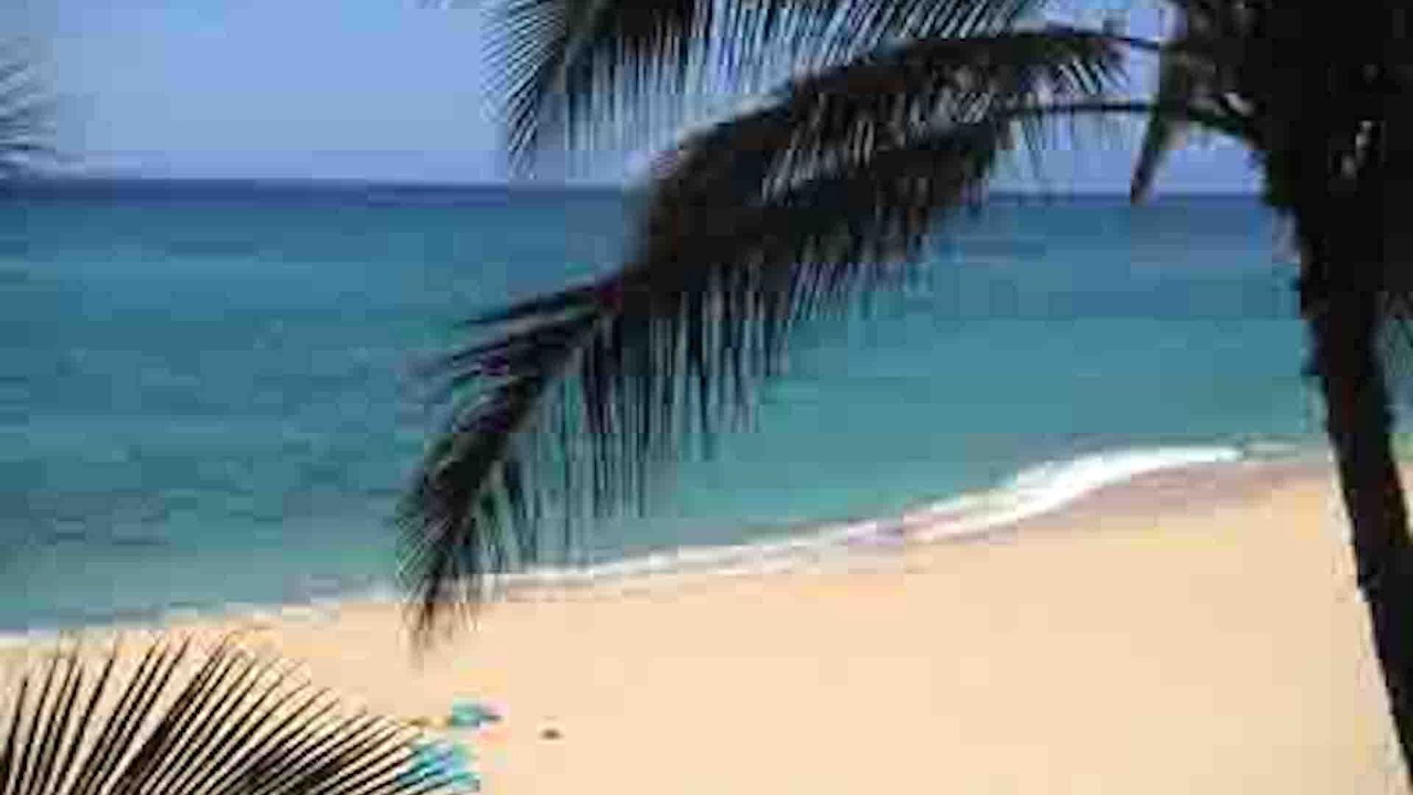 Photo of Others in Makaha