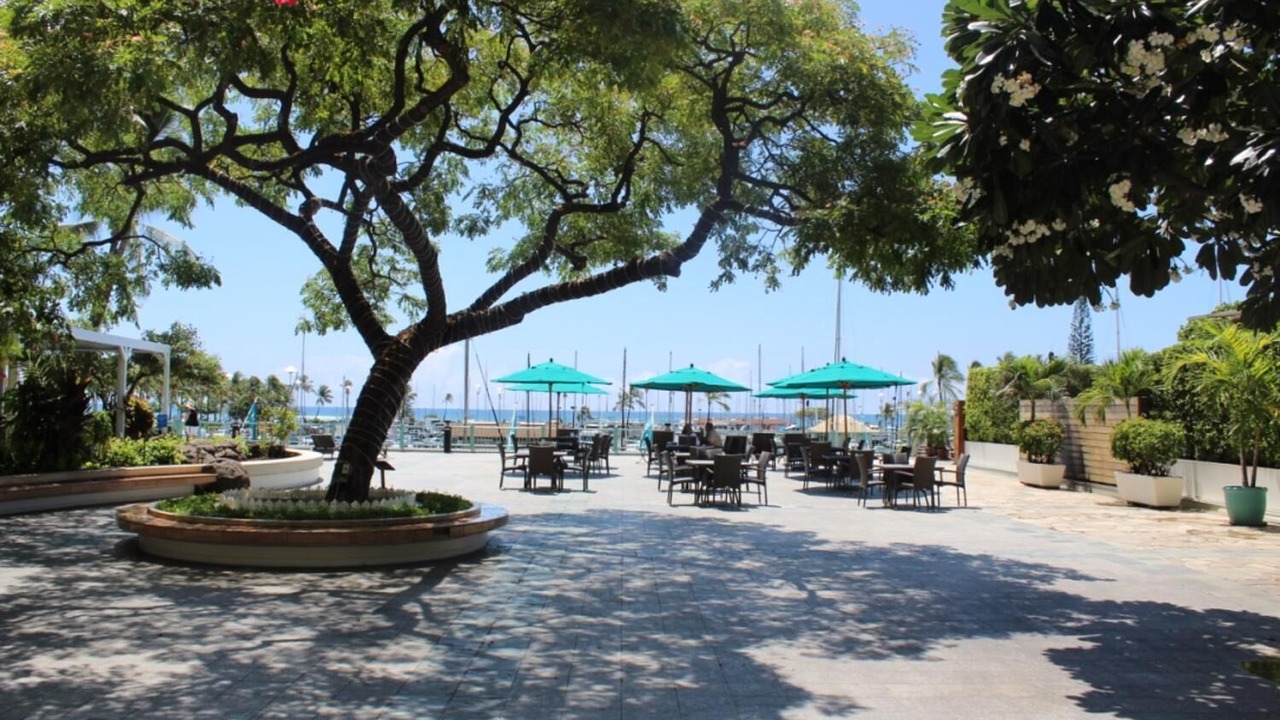 Photo of Others in Waikiki