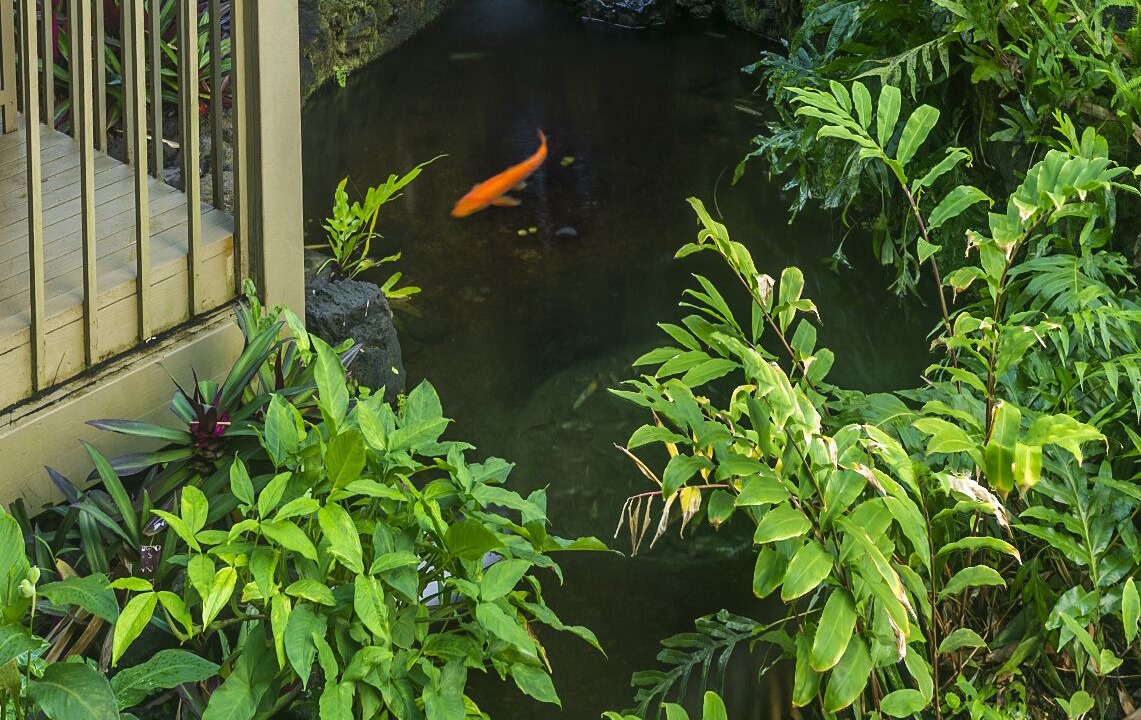 Photo of Patio Balcony in Hana
