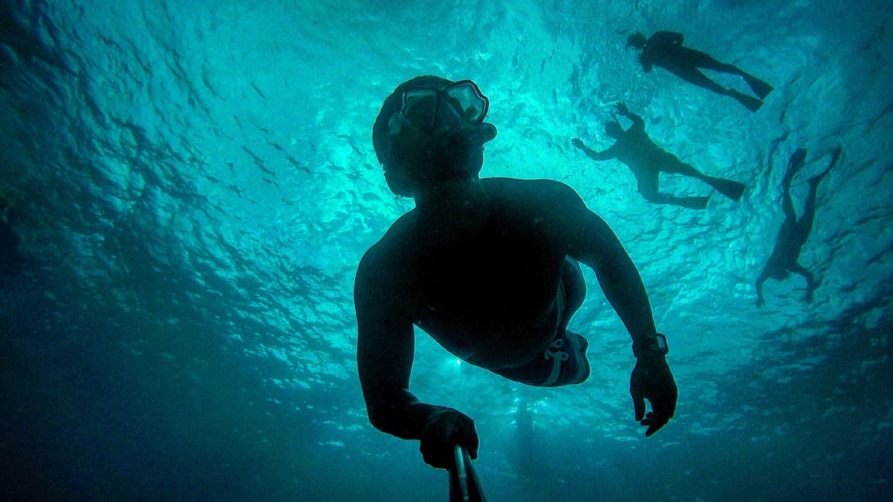 Photo of Outdoor in Haleiwa