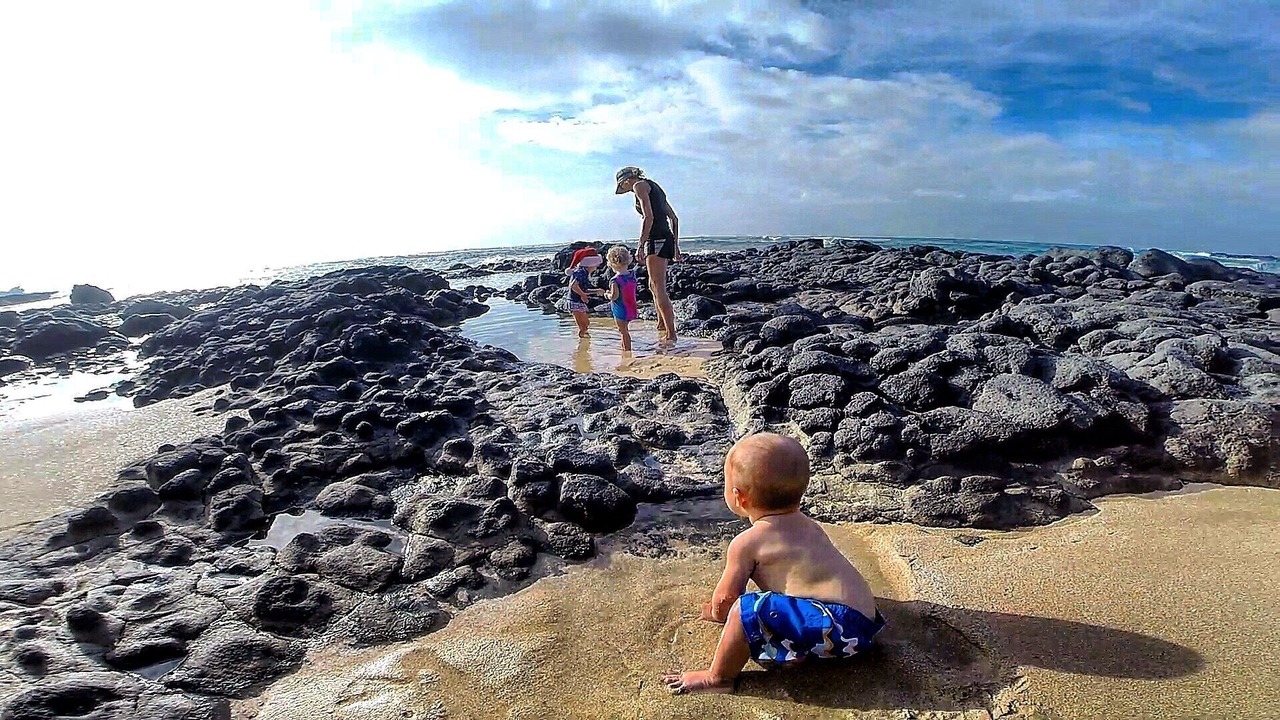 Photo of Others in Haleiwa