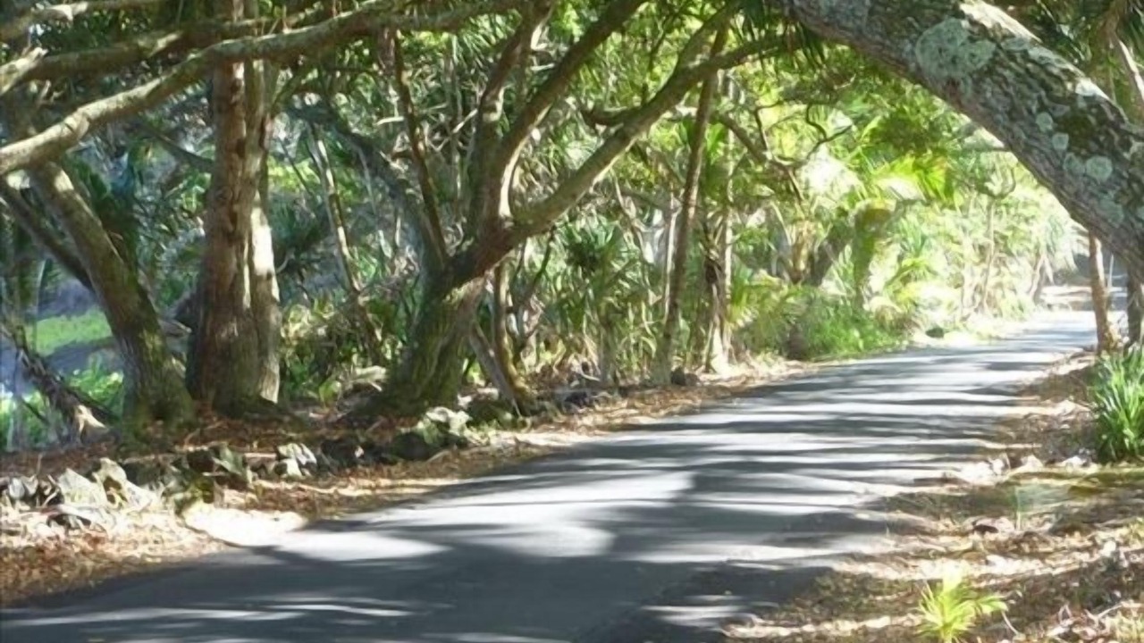 Photo of Others in Opihikao