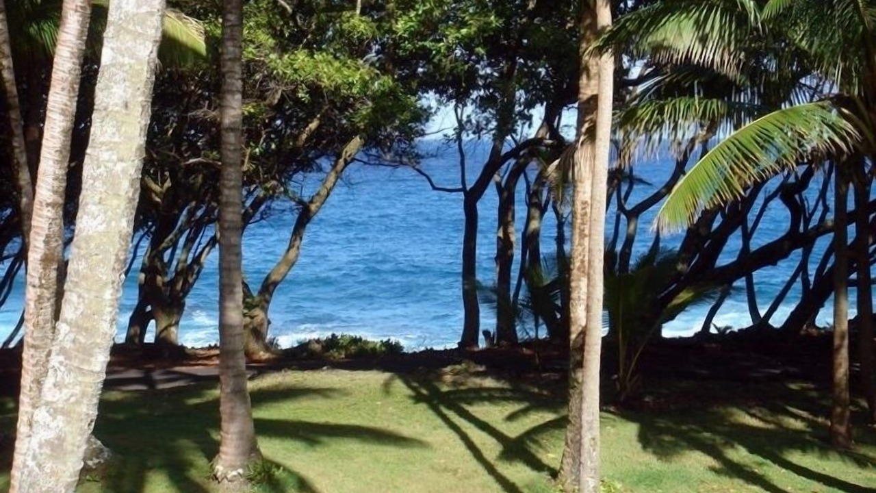 Photo of Outdoor in Opihikao