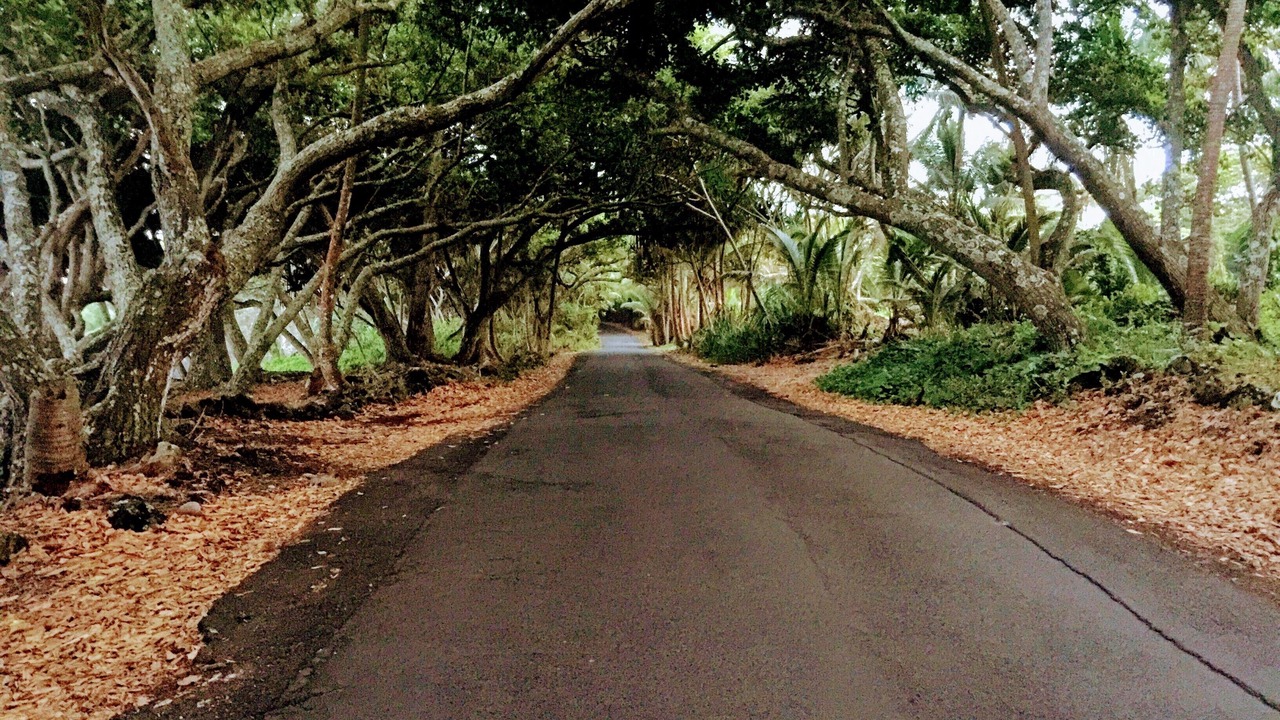 Photo of Others in Opihikao