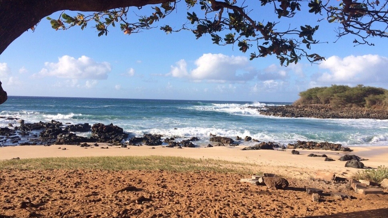 Photo of Others in Maunaloa