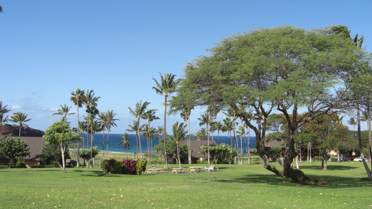 Photo of Outdoor in Maunaloa
