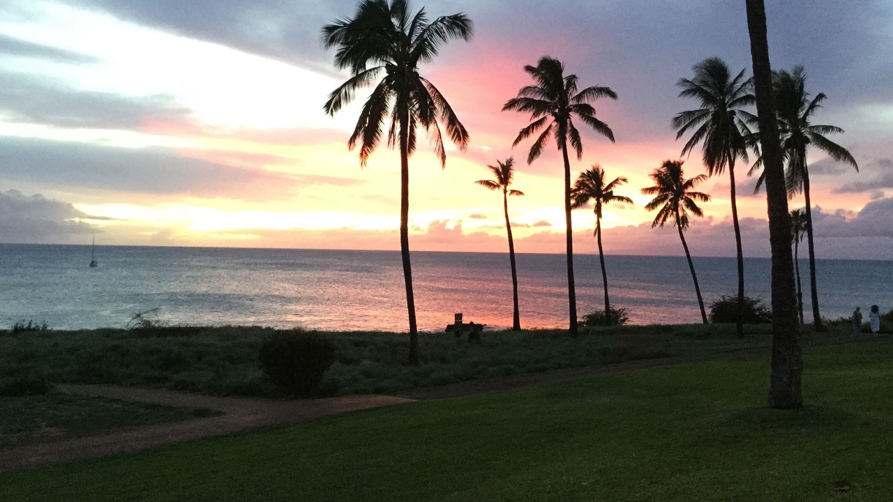 Photo of Others in Maunaloa
