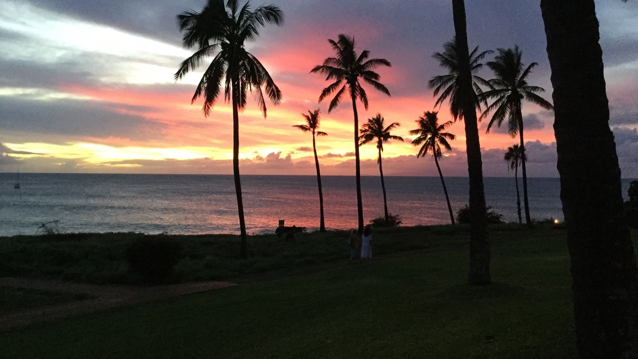 Photo of Others in Maunaloa