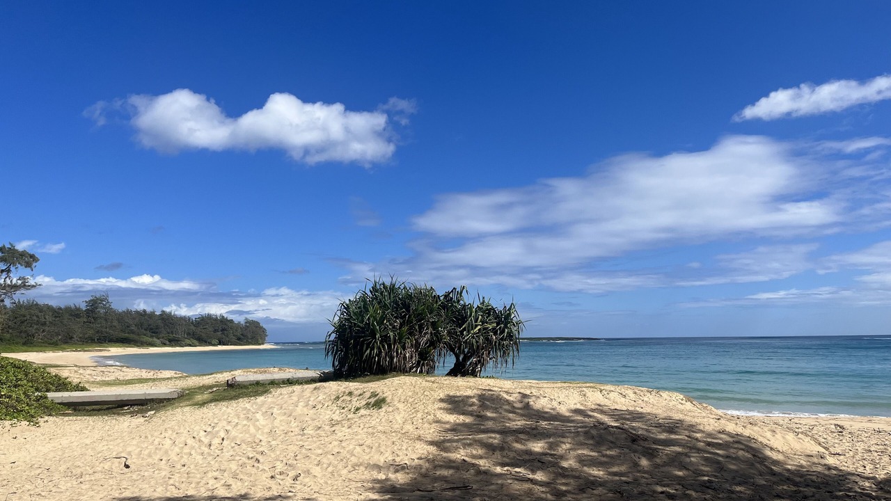 Photo of Others in Laie
