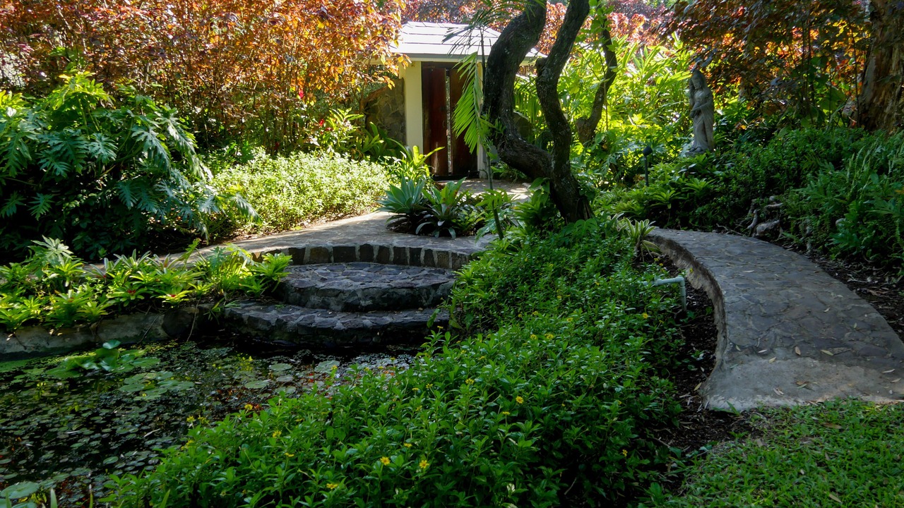 Photo of Outdoor in Haiku