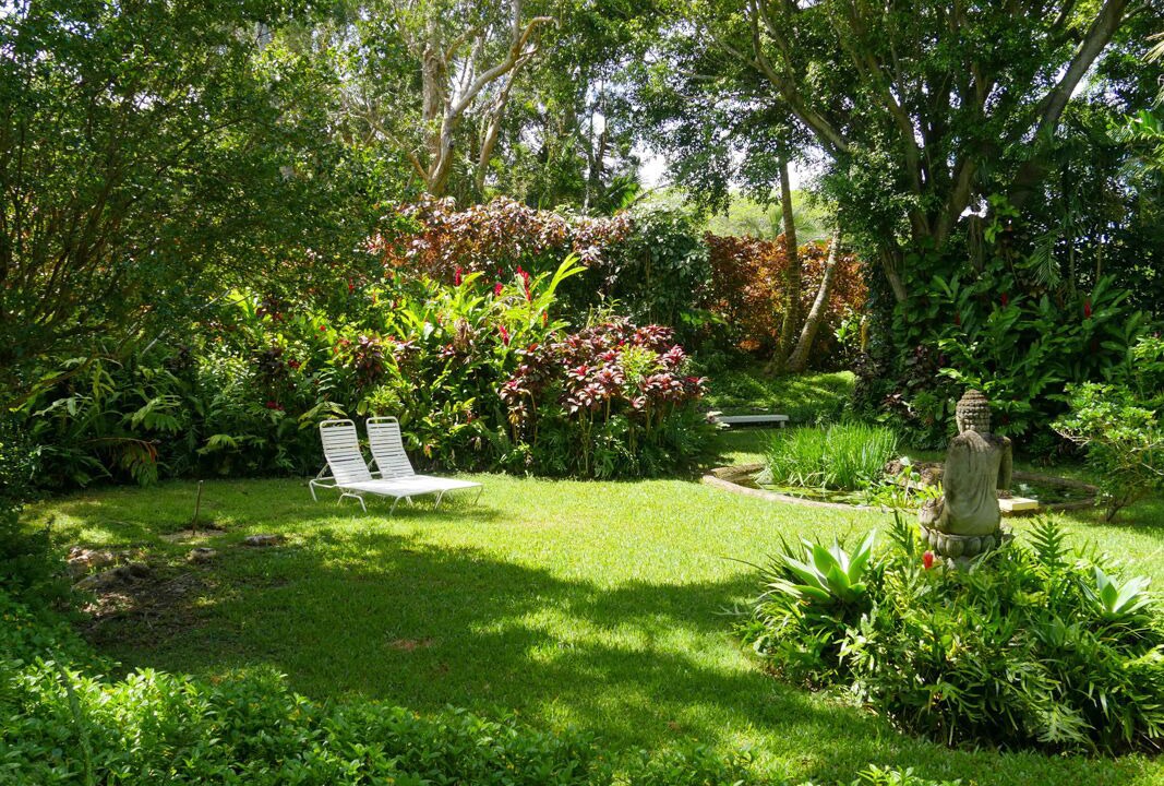 Photo of Outdoor in Haiku