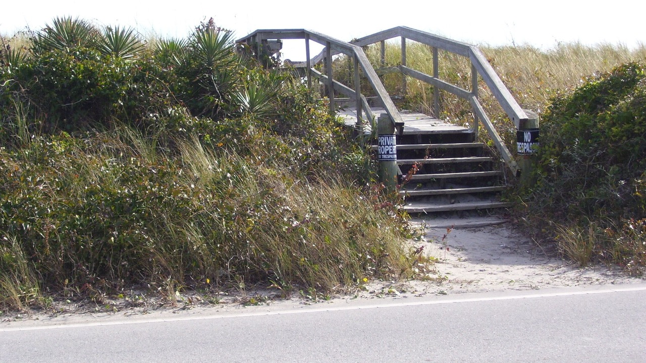 Photo of Others in Surf City
