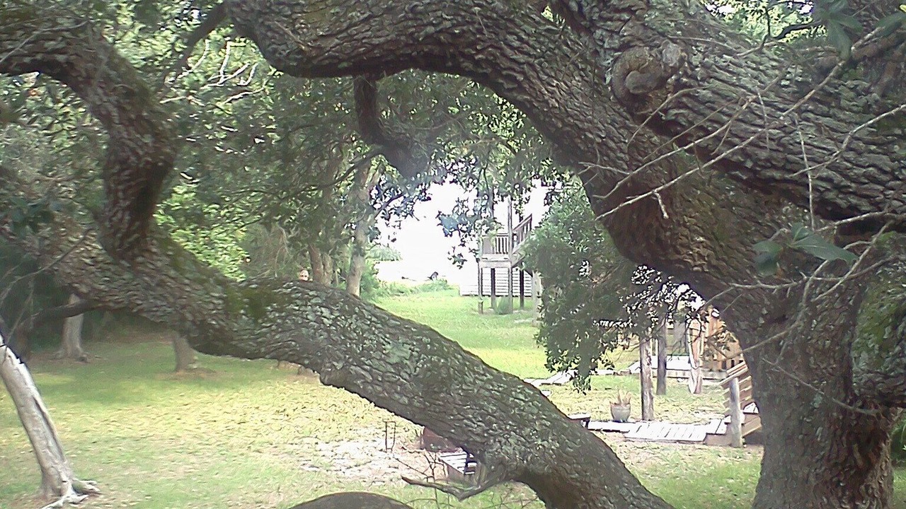 Photo of Outdoor in Surf City