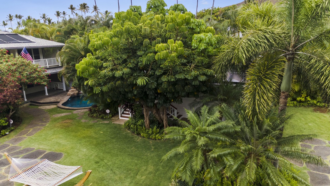 Photo of Outdoor in Lanikai