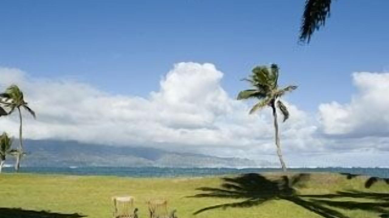 Photo of Others in Kahului