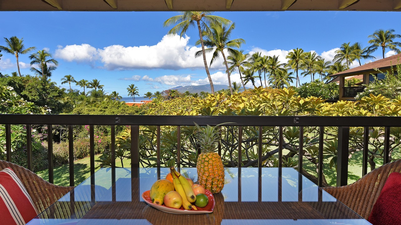 Photo of Outdoor in Wailea