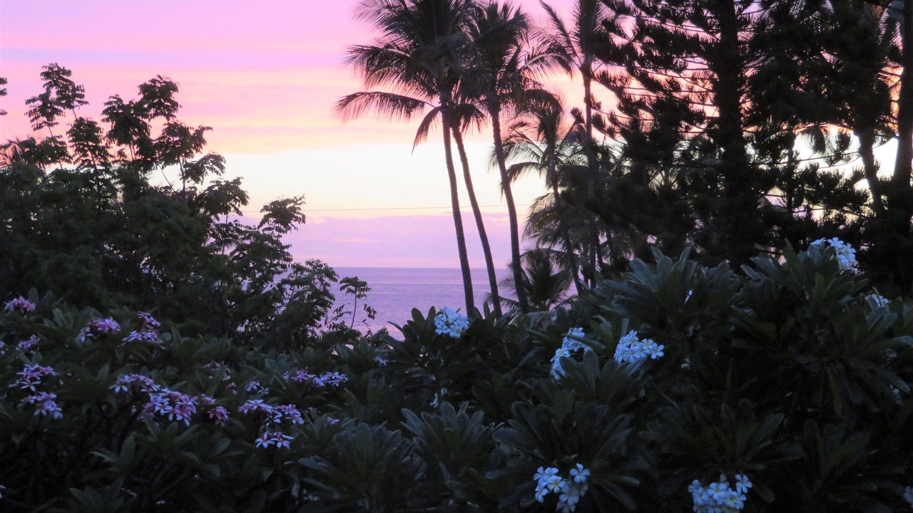 Photo of Others in Wailea