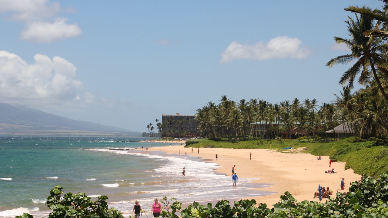 Photo of Others in Wailea