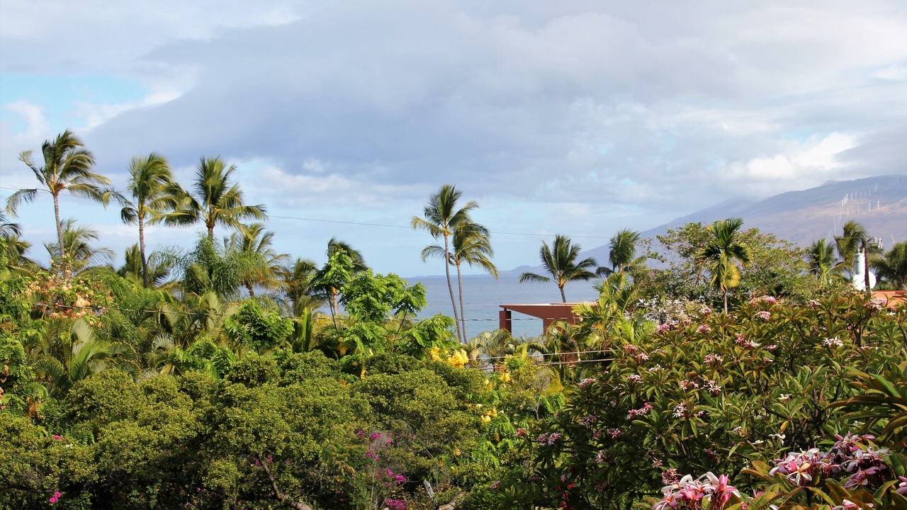 Photo of Others in Wailea