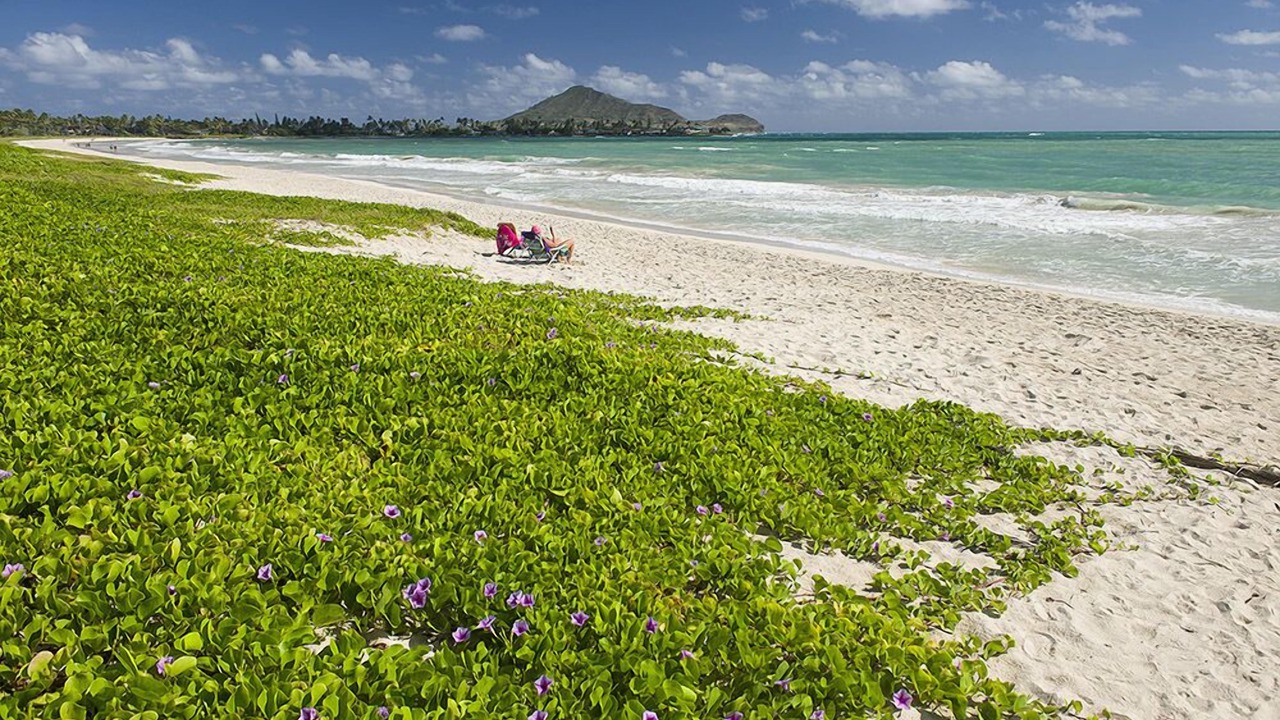 Photo of Others in Kailua