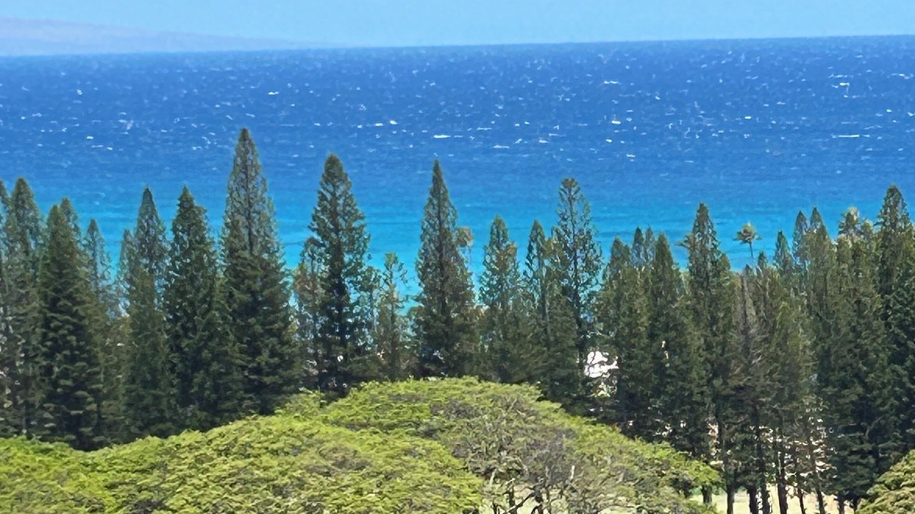 Photo of Others in Kapalua