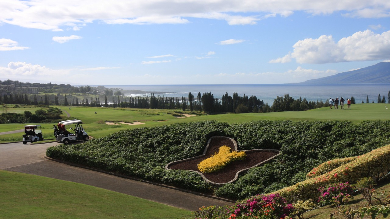 Photo of Others in Kapalua