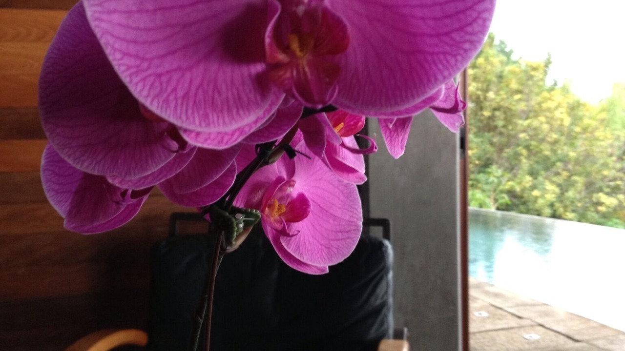Photo of Others in Holualoa