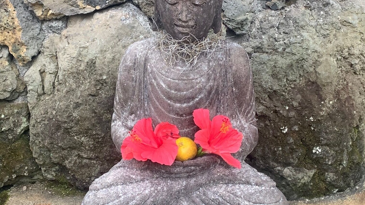 Photo of Others in Holualoa