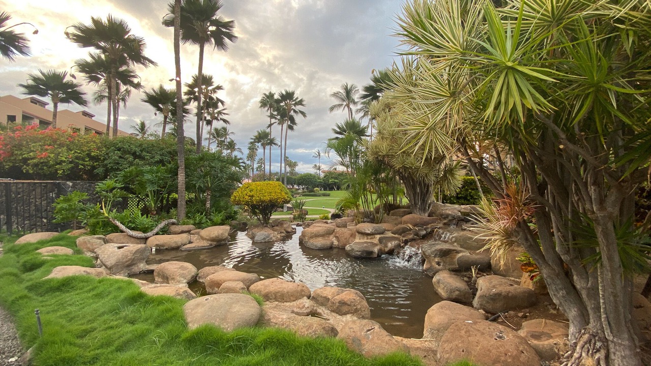 Photo of Outdoor in Kihei