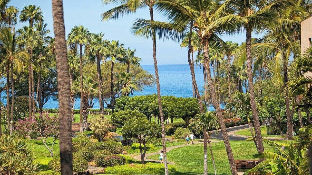 Photo of Outdoor in Kihei