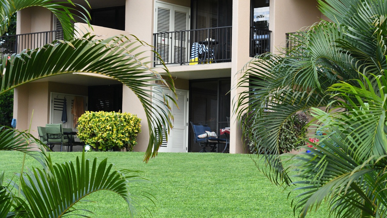 Photo of Others in Kihei