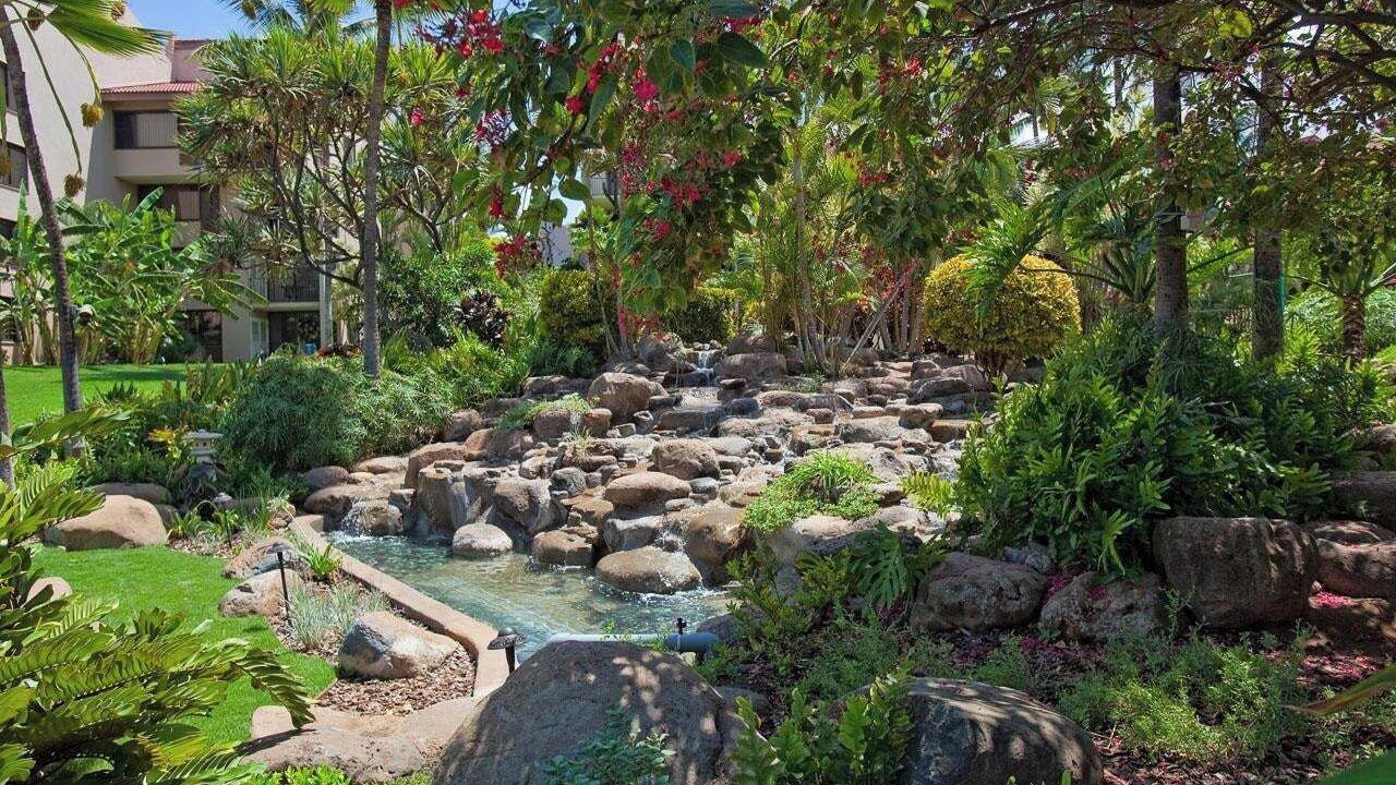 Photo of Outdoor in Kihei
