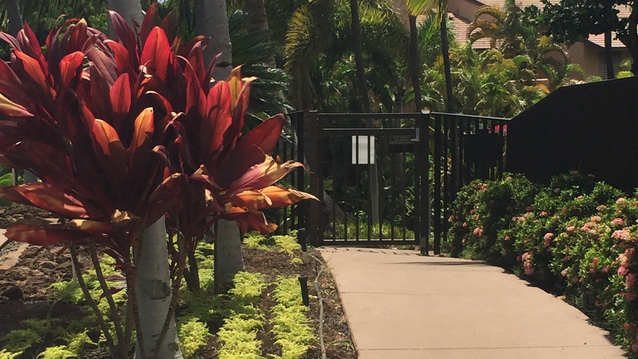 Photo of Outdoor in Wailea