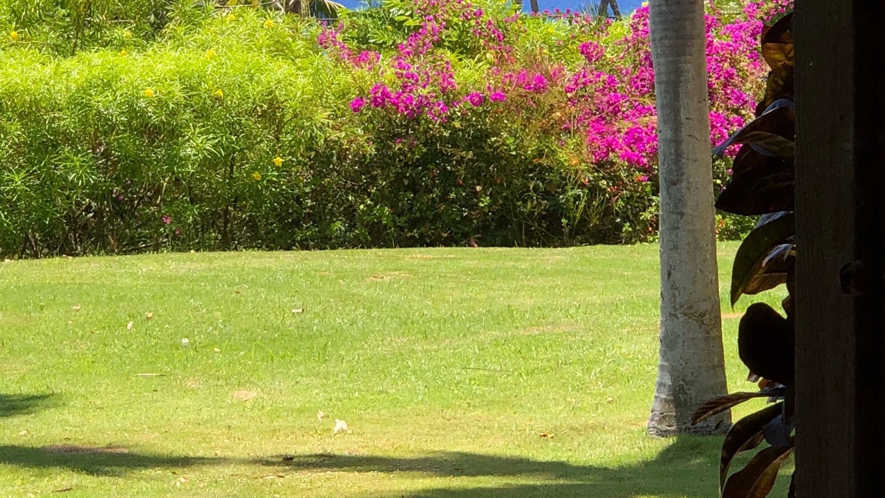 Photo of Others in Wailea