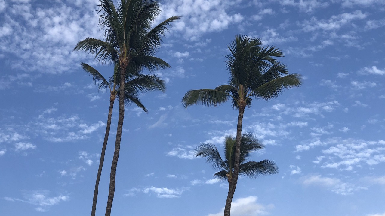 Photo of Others in Wailea