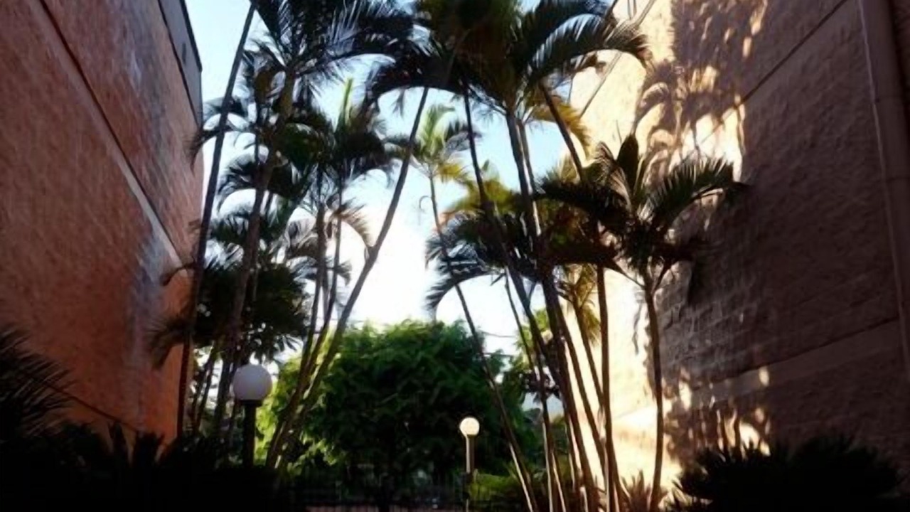 Photo of Others in Honokowai