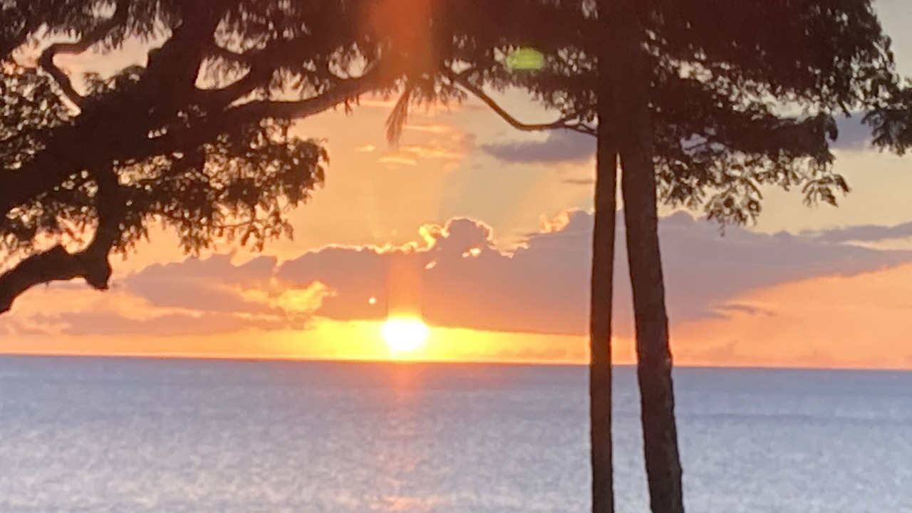 Photo of Others in Honokowai
