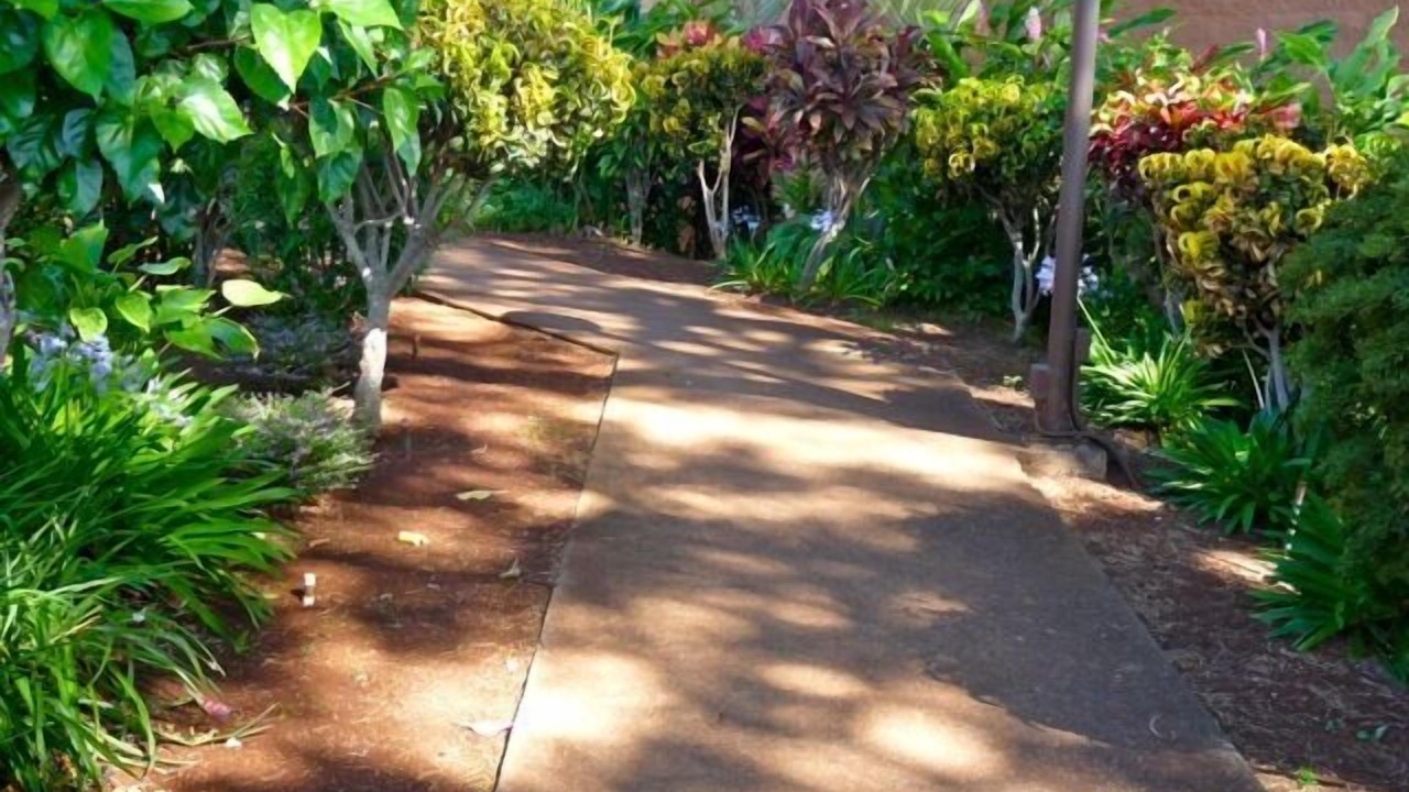 Photo of Others in Honokowai