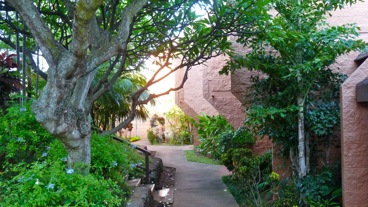 Photo of Outdoor in Honokowai