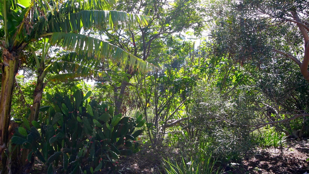 Photo of Outdoor in Kamuela