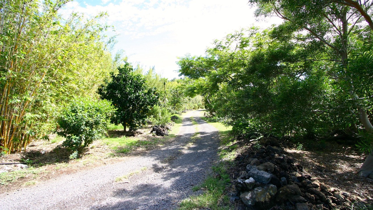 Photo of Others in Kamuela