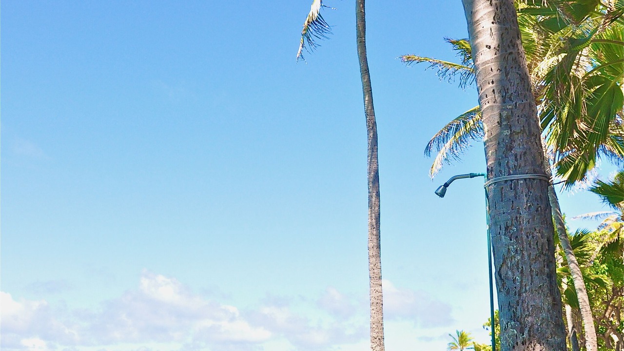 Photo of Others in Lanikai