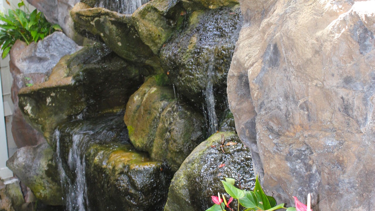 Photo of Outdoor in Lanikai