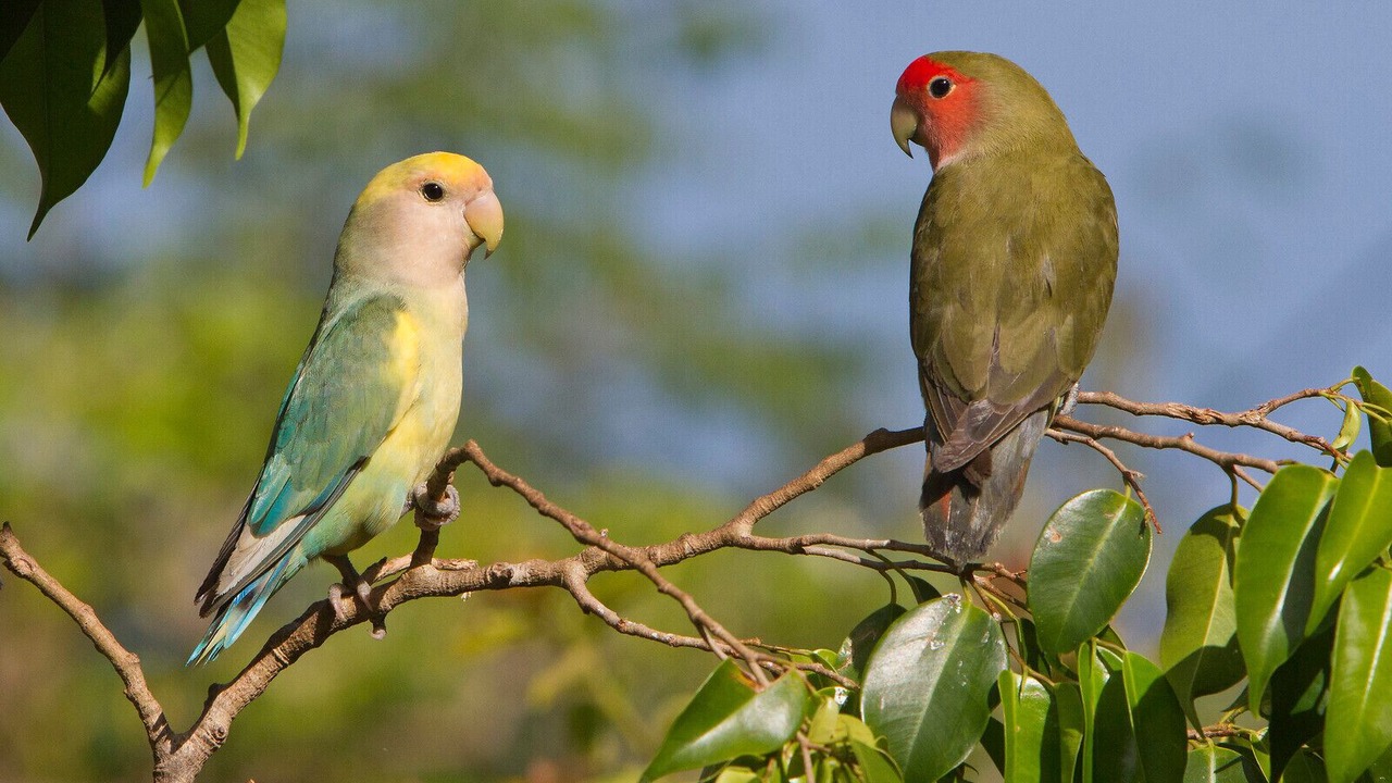 Photo of Outdoor in Wailea