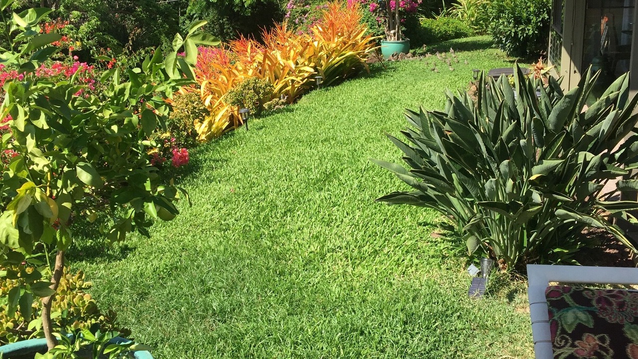 Photo of Outdoor in Wailea