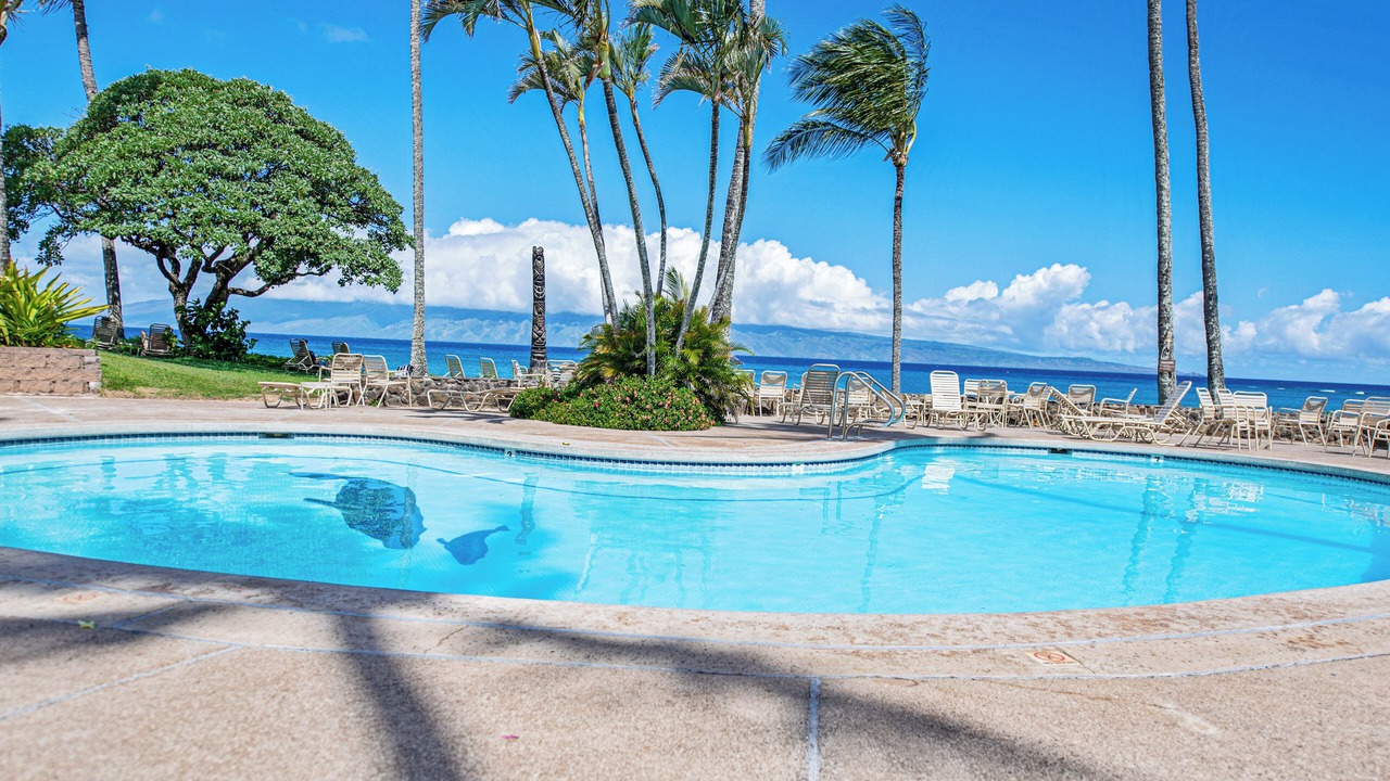 Photo of Outdoor in Napili